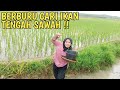 BERPETUALANGAN DI TENGAH SAWAH!! ADA KALI KECIL BERBURU IKAN!!