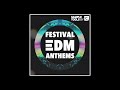 Sample Tools by Cr2 - Festival EDM Anthems (Sample Pack)