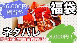 チューリップ福袋の中身 8,000円 ネタバレ【ガーデニング】富山花卉球根農業協同組合