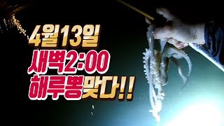 4월13일 새벽2시 낙지해루질.... 해루뽕 미쳤다!!!