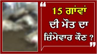 Cow Death: ਗਊਸ਼ਾਲਾ 'ਚ ਅਚਾਨਕ 15 ਗਾਂਵਾਂ ਦੀ ਹੋਈ ਮੌਤ