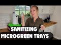 Let's Talk SANITATION!! - How to Clean and Sanitize Microgreen Trays |  Indoor farming |