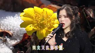 一首伤感情歌《伤不起》伤感好听，忧伤的旋律，好听极了