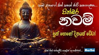 පින්බර නවම් පුර පසළොස්වක පොහොය දිනයක් වේවා!