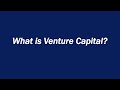 What is Venture Capital?