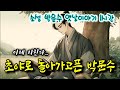 🌜박문수를 지치게 만든 사람들.. | 소설 박문수 3화 | 중간 광고 없는 옛날이야기 | 잠자리동화 | 잠잘때듣는 오디오북 | 책읽는여자 | 고전, 전래동화