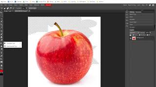 Photopea - Basic Selection Tool Demonstration