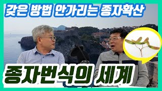 [종자TV] #종자번식의 세계, 다양한 확산 방법 #김태완교수 #종자TV #종자티비 #한경국립대학교 #한경대 #종자 #씨앗 #잡초