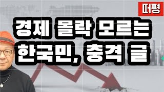 일본 경제학자의 분석 충격