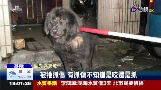 混血獒犬吼叫如虎咬翁腹 婦心臟病發