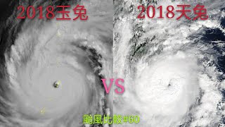 【颱風比較#60】2018玉兔vs2018天兔