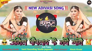 🔥अनिल पीपलाद के नये गाने 2025💥‼️New Adivasi Song 2025‼️🎤Singer_Anil Piplaj‼️आदिवासी न्यु सोंग 2025