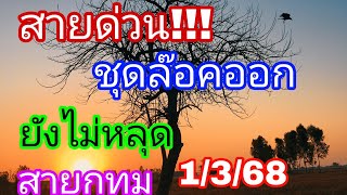 สายด่วนลับวงในสายกทม.เข้าตลอดยังไม่หลุด1/3/68