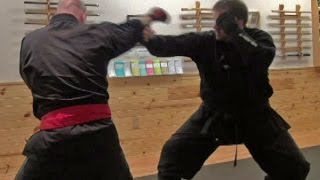 Budo Taijutsu - Kamae in Martial Arts
