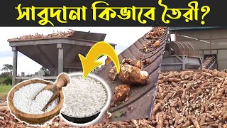 সাবুদানা কি দিয়ে তৈরি হয়? | Sabudana Making | Sago Making Process | Cassava Root | Tapioca Pearls