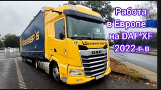 Новый DAF XF 480 👑КОРОЛЬ ДОРОГ или 😺кот в мешке? #дальнобой