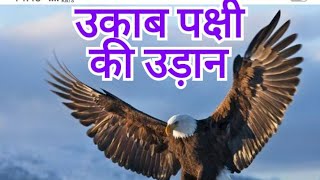 उकाब पक्षी की उड़ान/Eagle flight/( Hindi )