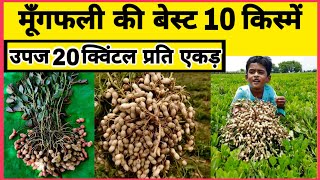 मूंगफली की टॉप 10 वैरायटी | Best groundnut seeds | Mungfali ki kheti | Kadiri lepakshi 1812 | tag 24