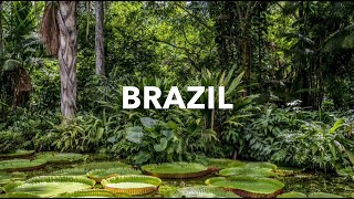 BRAZIL: Relaxing Nature Photos of Brazil and Relaxing Music [for Stress Relief and Meditation]