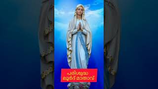 അനുദിന വിശുദ്ധർ ഫെബ്രുവരി 11പരിശുദ്ധ ലൂർദ് മാതാവ് #shortvideo #shalomtv