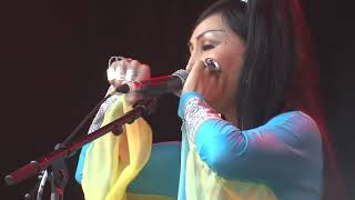 Ayarkhaan play at Womad New Plymouth v720P