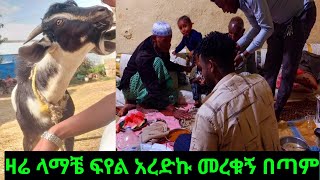 🔴ዛሬ ላማቼ ፍየል አረድኩ መረቁኝ በጣም ሁላችንም ደስ ብሎን ዋልን🥰🙏