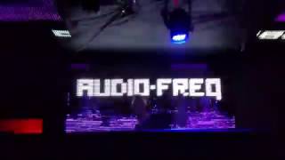 Audiofreq - Stampede