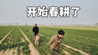 河南農村開始春耕了，巴鐵媳婦累的直感嘆：農民太不容易了