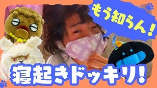 JKのガチ寝起きドッキリ【JKめがねと夏旅＃11】