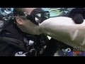 SHOCKING: Shark Week Footage Of Man Kissing Shark | HPL