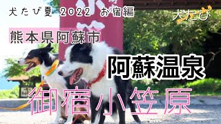 【犬連れ旅】熊本県阿蘇温泉にある「御宿小笠原」、今度は和洋室に泊まってみた.