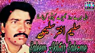 Nal mery rooz jhyrdy || Saleem Akhtar Saleemi || Saleemi Music
