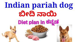 ಮನೆಯಲ್ಲೆ ತಯಾರಿಸಿ ಬೀದಿ ನಾಯಿಗಳಿಗೆ ಉಣಿಸಬಹುದಾದ  ಆಹಾರ | Diet plan for Indian pariah dog / street dogs