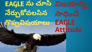 Eagle mentality/Attitude of the eagle for success/telugu