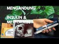 IBU MENGANDUNG KENCING MANIS | BSP EVERY 2 WEEKS | INSULIN  | NASI KERABU ORIGINAL