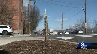 Police investigate after recently-planted trees uprooted from city street, carried off by group o...