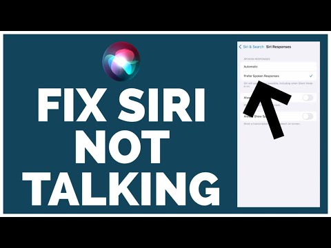 How to Fix Siri Not Talking/Not Working on Any 2023 iPhone or iPad?