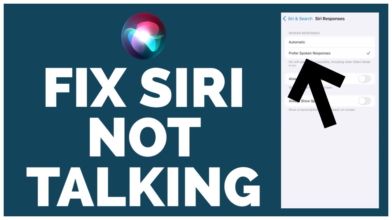 How To FIX Siri Not Talking / Working On Any IPhone Or IPad 2023? - YouTube