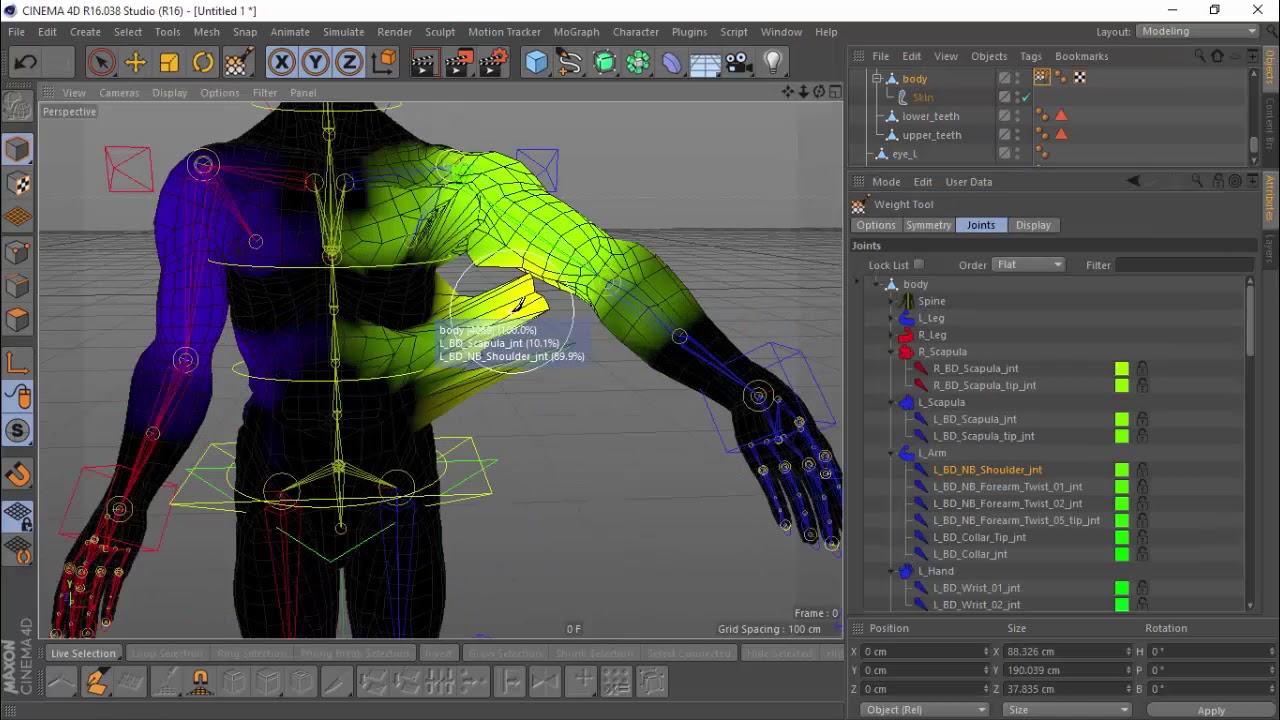 Cinema 4d Advanced Biped Rigging And Weighting Tutorial [4x Speed ...