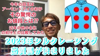 2023年のシルク出資馬が決定しました【一口馬主】