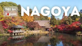 【名古屋vlog】東山動植物園で紅葉を楽しむ秋の日