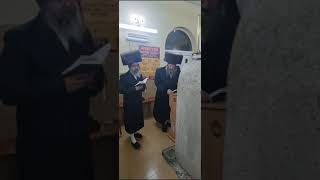 Bitchkov Rebbe Visits Kever Of R' Mordechai of Nadvorna In Bishtanie - Av 5783