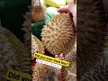 the king of fruits durian durio discovery malaysia travel foodie foodlover local shorts