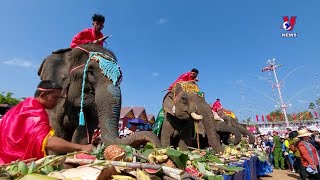 Elephant festival offers unique experience for visitors to Dak Lak