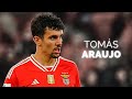 Tomás Araújo - Season Highlights | 2024