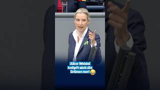 Alice Weidel knöpft sich die Grünen vor! 😂