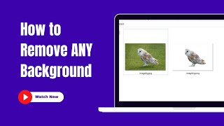 The Quickest Easiest Free Method To Remove Background From Any Image