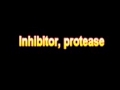 What Is The Definition Of Inhibitor, protease Medical School Terminology Dictionary