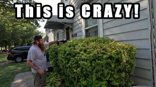 The Shocking Truth Saker Hedge Trimmer Review Exposed