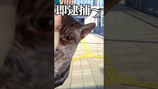 隣の人殴って逮捕された猫（音源お借りしました）#shorts #short #猫ミーム #隣の人 #即逮捕